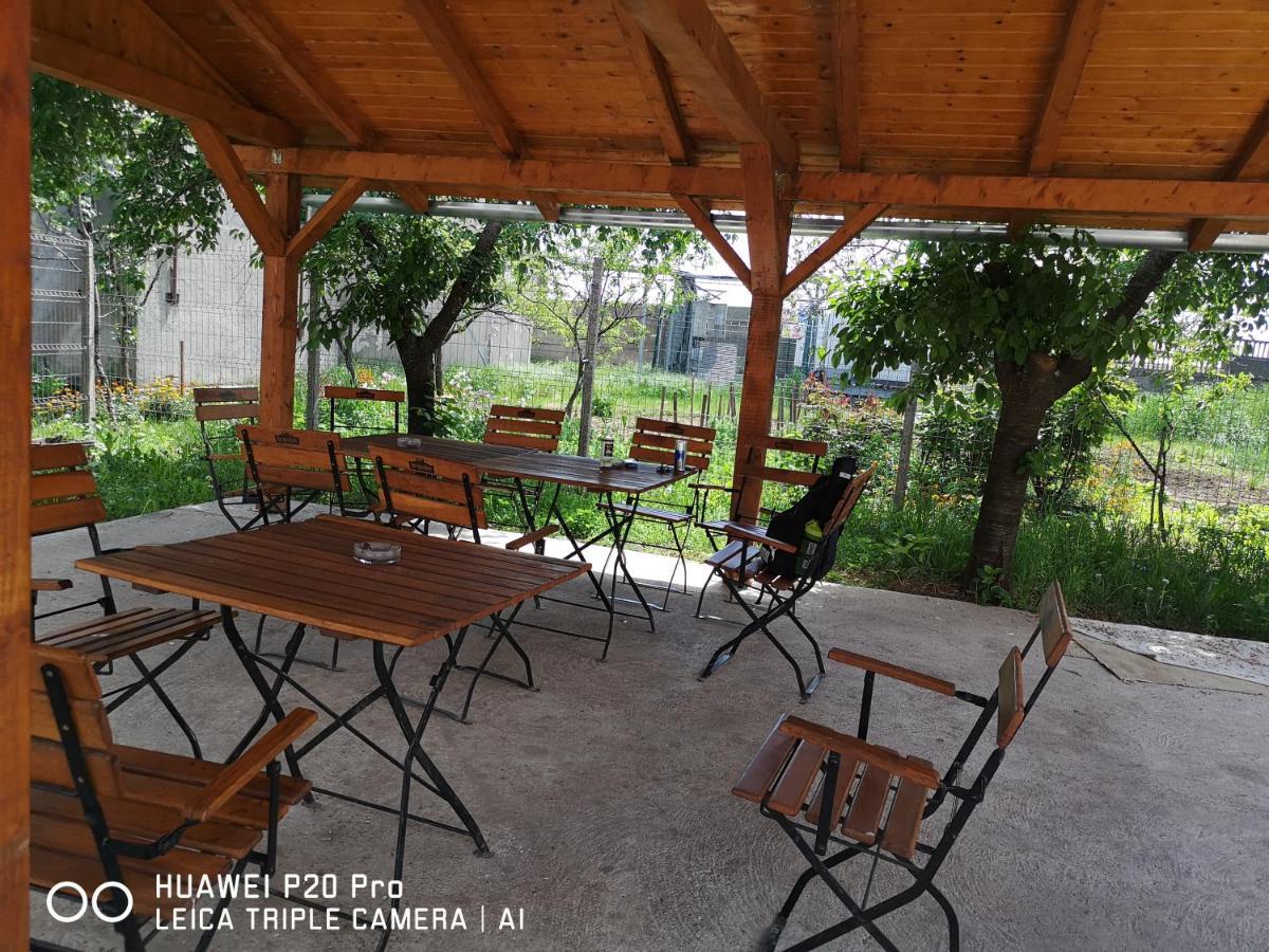 Casa Hortensia Tasnad Dış mekan fotoğraf